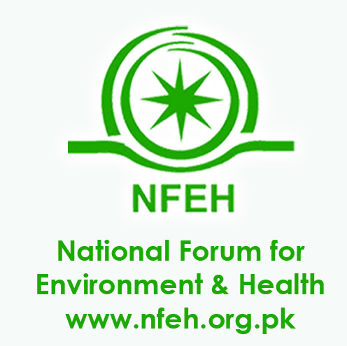 NFEH Logo.jpg